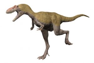 albertosaurus size