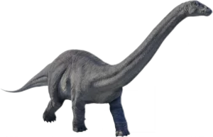 apatosaurus dinosaur