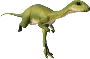 dryosaurus altus