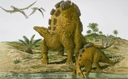 wuerhosaurus
