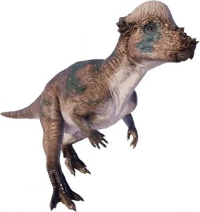 pachycephalosaurus facts