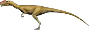 proceratosaurus height