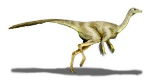 struthiomimus dinosaur