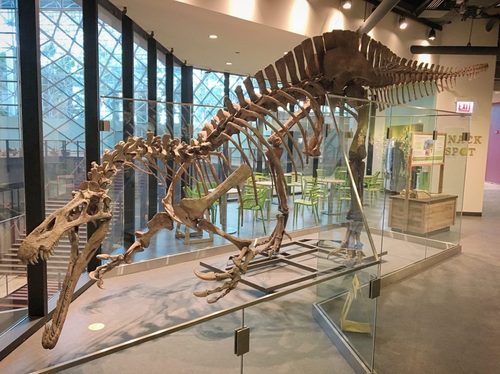 Suchomimus Jurassic World Evolution 2