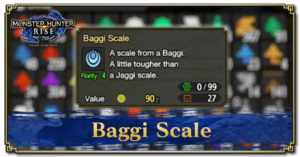 baggi scale